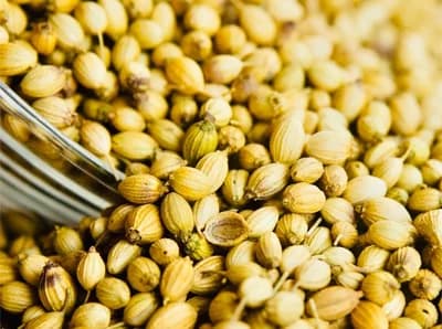CORIANDER SEEDS